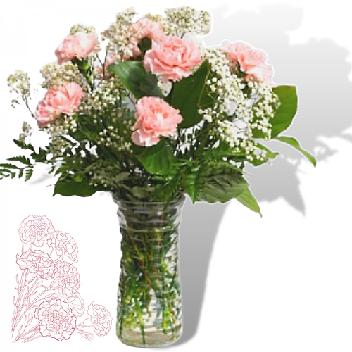 For the Love of Carnations