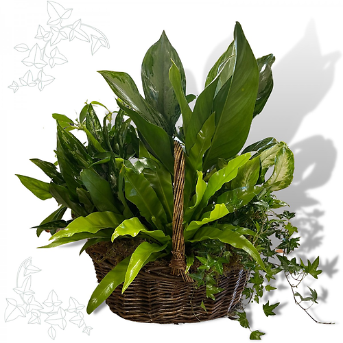 Large Basket Garden Planter