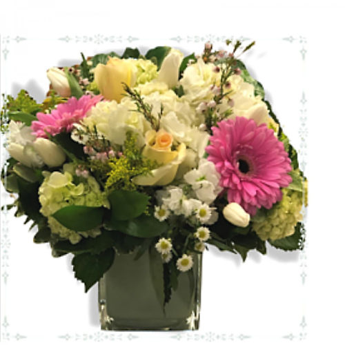 Beautifully Bountiful