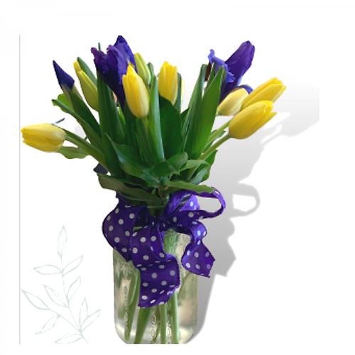 Iris Eyes Are Smiling