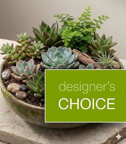 Designers Choice Dish Garden