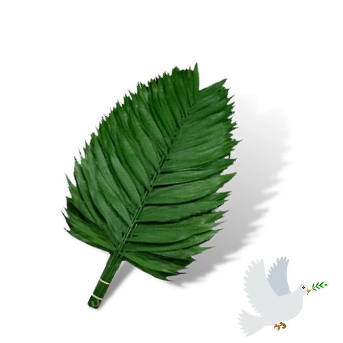 14"-16" Giant Emerald