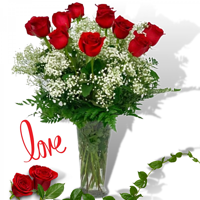 Dozen Medium Stem Red Roses
