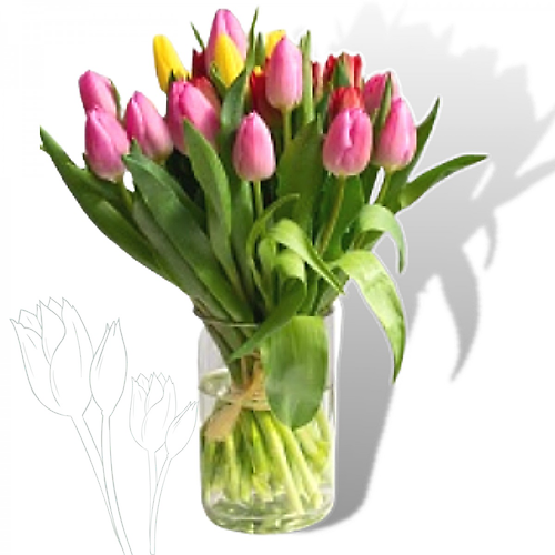 Tiptoe through the tulips