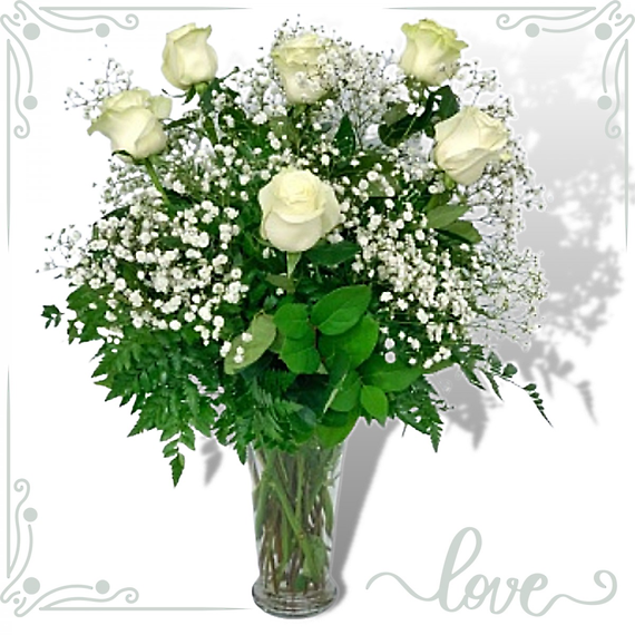 Half Dozen Medium Stem White Roses