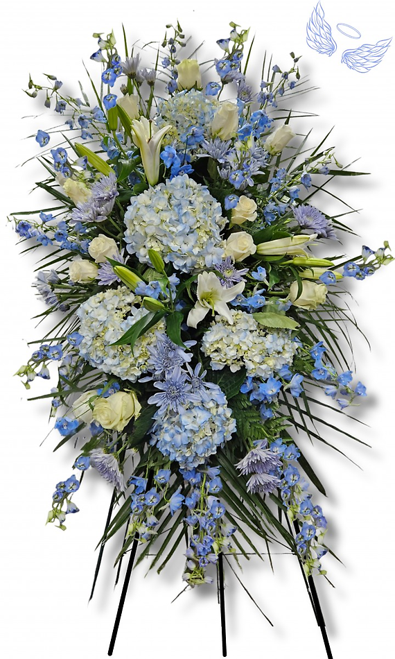 Tranquil Reflections