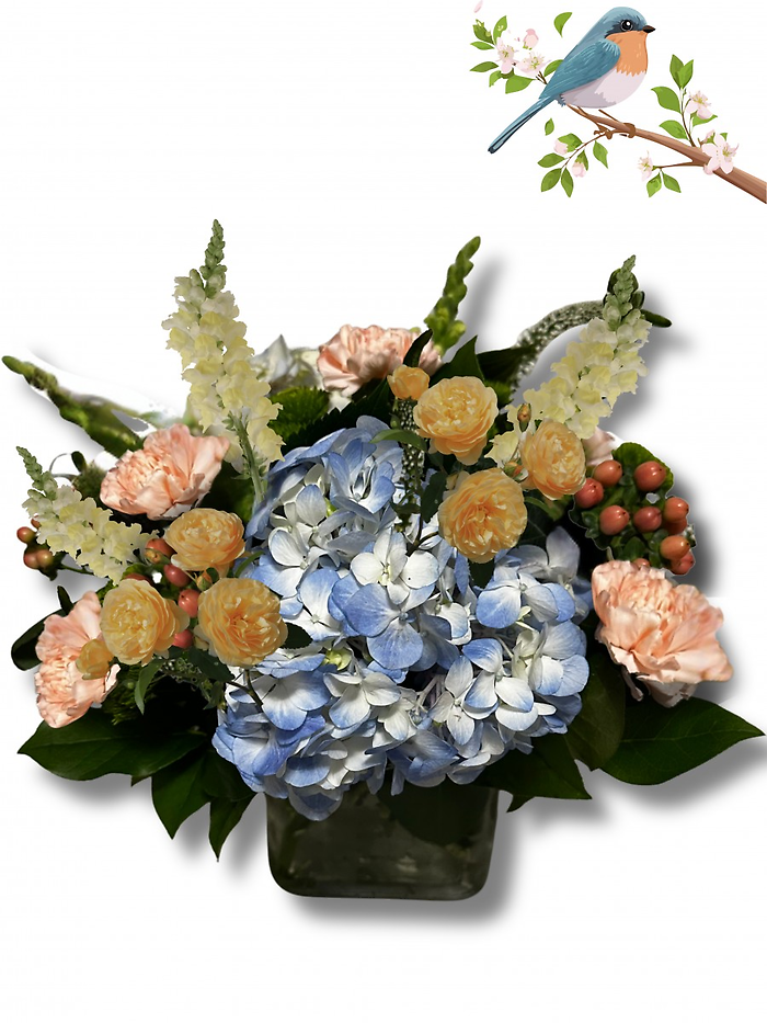 Bluebell Blush