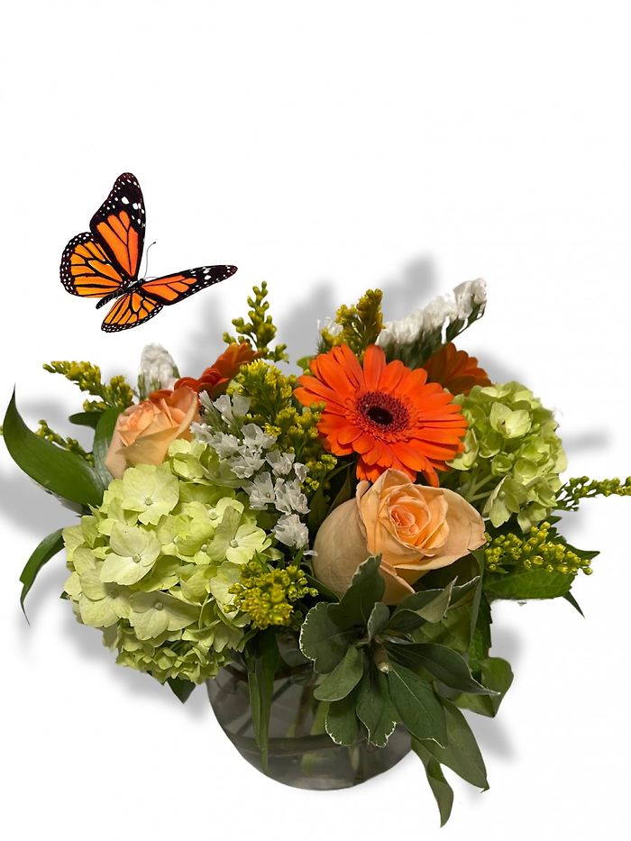 On the Other Side of Fall