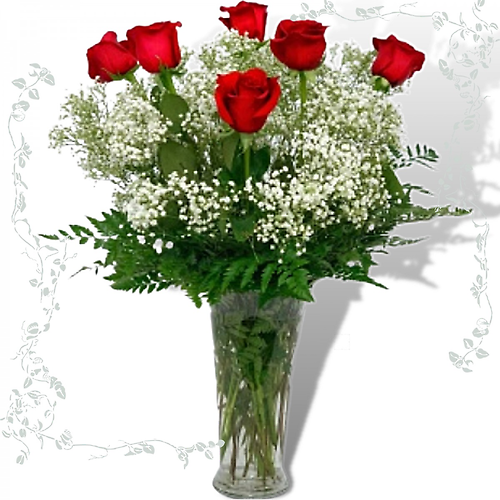 Half Dozen Long Stem Red Roses