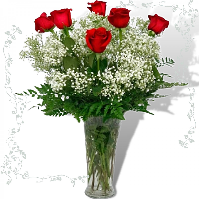 Half Dozen Long Stem Red Roses
