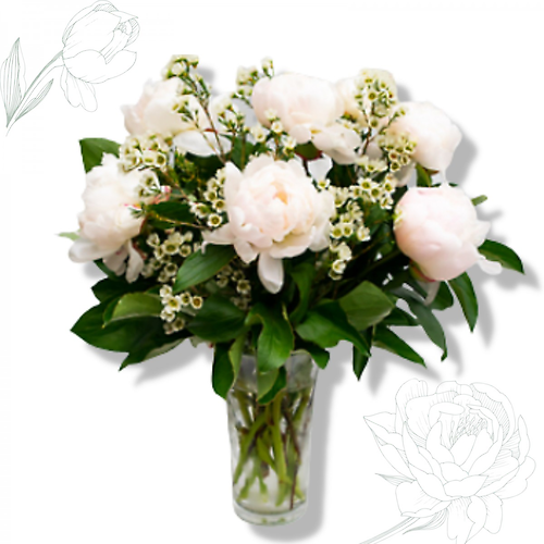 Perfectly Peonies