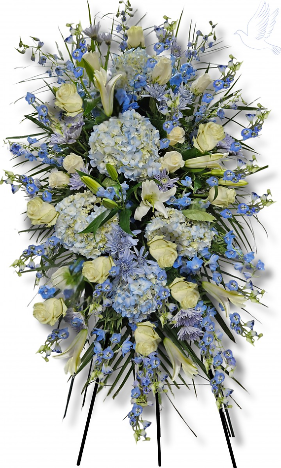 Tranquil Reflections