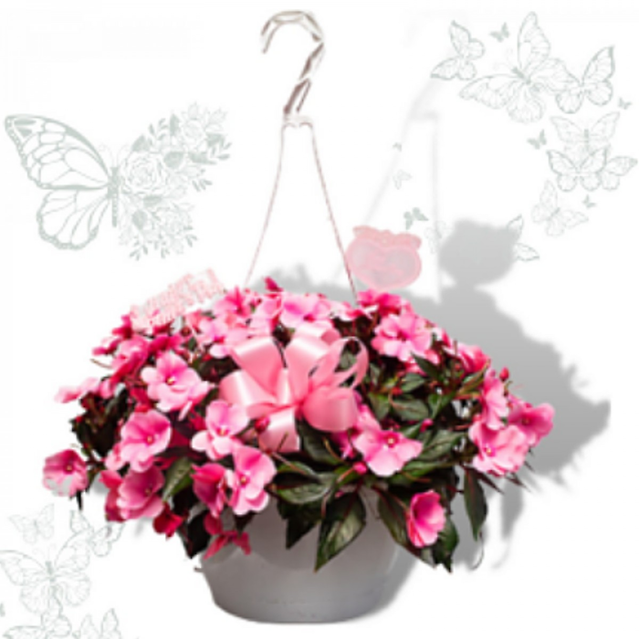 Hanging Baskets