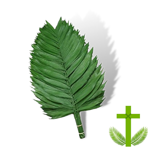10"-14" Emerald Palm