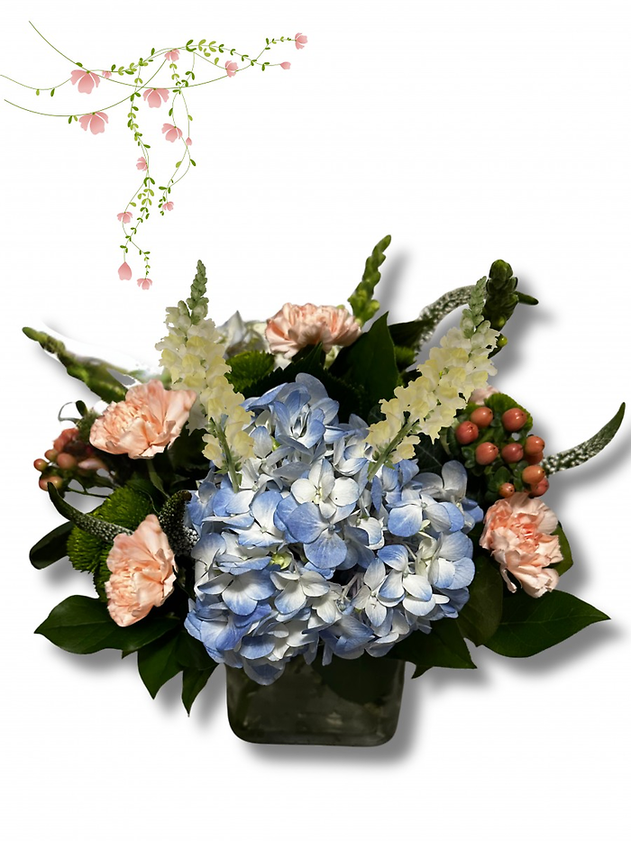 Bluebell Blush